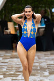 Cobalt Wave Monokini - 1 Piece Swimsuit with Open Back
